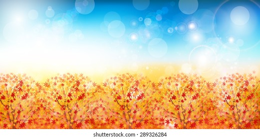 Maple foliage background