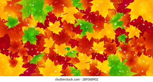 Maple foliage background
