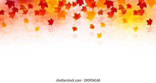 Maple foliage background