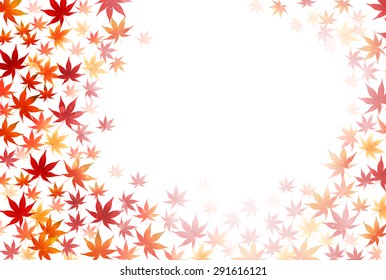 Maple foliage background
