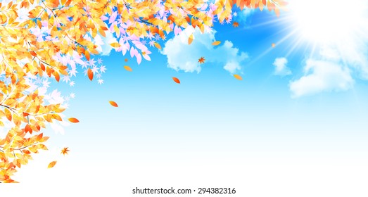 Maple foliage background