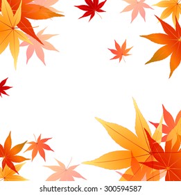 Maple foliage background