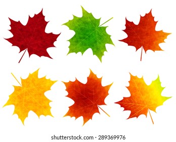 Maple foliage icon