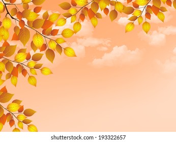  Maple foliage landscape