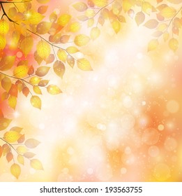 Maple foliage landscape