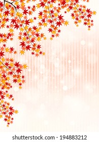 Maple foliage landscape