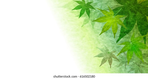 Maple fresh green leaf background