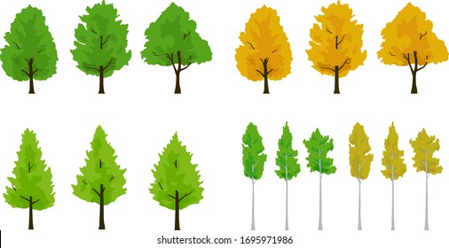 Maple and ginkgo and Aspen tree illustration set