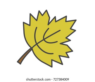 Maple green leaf flat style vector icon isolated on white. Autumn defoliation or canadian national symbol concept. Deciduous tree leaf cartoon illustration for applications, logos or web design