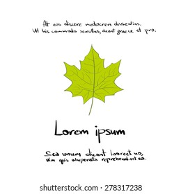 Maple Green Leaf Hand Draw Color Icon Vector Illustration