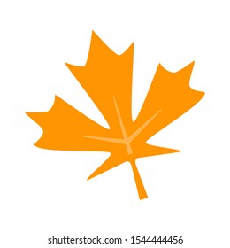 maple icon - Autumn colorful canada maple leaf