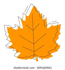 Maple icon isolated on white background. Flat vector illustration