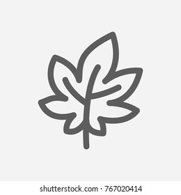 Maple icon line symbol. Isolated vector illustration of leaf sign concept maple icon for your web site mobile app logo UI design.