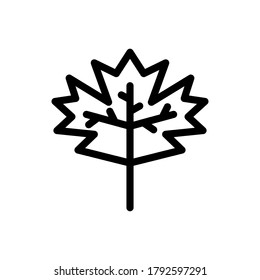 Maple icon outline vector. isolated on white background
