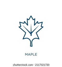 maple icon. Thin linear maple outline icon isolated on white background. Line vector maple sign, symbol for web and mobile