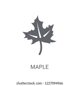 Maple icon. Trendy Maple logo concept on white background from Nature collection. Suitable for use on web apps, mobile apps and print media.