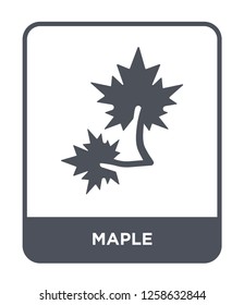 maple icon vector on white background, maple trendy filled icons from Nature collection, maple simple element illustration