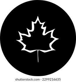 Maple icon vector symbol design illustration