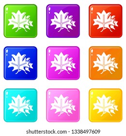 Maple icons set 9 color collection isolated on white for any design
