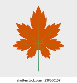 Maple leaf.