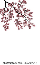 Maple Leaf