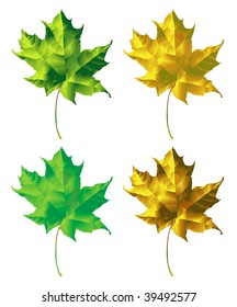 Maple leaf