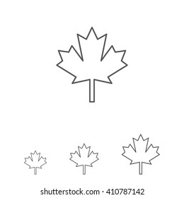Maple leaf