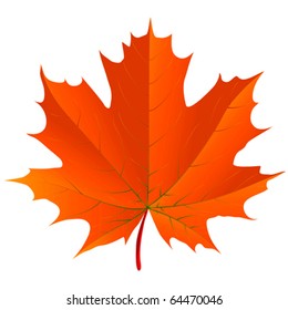 maple leaf