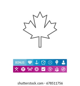 Maple leaf