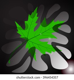 Maple Leaf. Abstract Illustration.