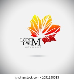 maple leaf abstraction. Vector