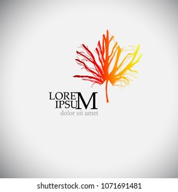 maple leaf abstraction. Vector