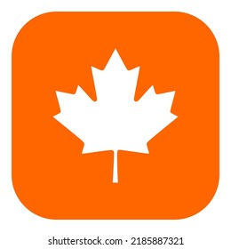 Maple leaf and app icon on white