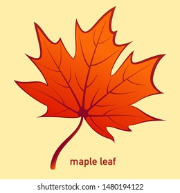 Maple Leaf artistic power stroked outlined color Illustration - Vector