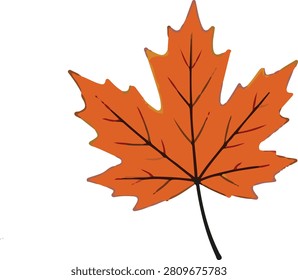 Maple leaf autum illustration nature and the season of fall.