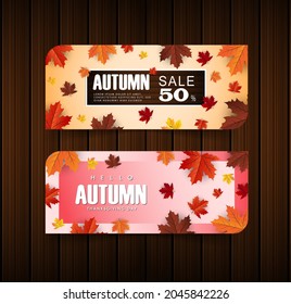 maple leaf, autumn banner vector background