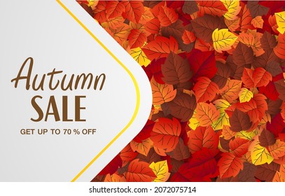maple leaf, autumn banner vector background