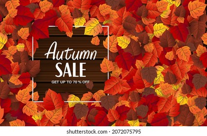 maple leaf, autumn banner vector background