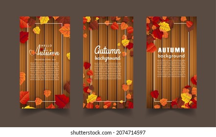 maple leaf, autumn banner vector background