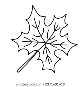 Maple leaf, autumn design element, doodle style flat vector outline for coloring book