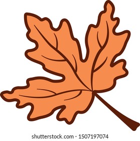 Maple Leaf Autumn Fall Nature 
