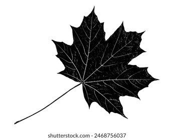 Schwarze Blatt realistische Textur Overlay auf weißem Hintergrund isoliert. Dunkler Stempel mit Laub, alt, Grunge, körnig, Vintage, abgenutzt, Staubeffekt. Abstraktes Blättermakro. In: Plant Pattern Close Up. Vektorgrafik EPS 10