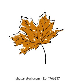 maple leaf autumn icon vector illustration on white background