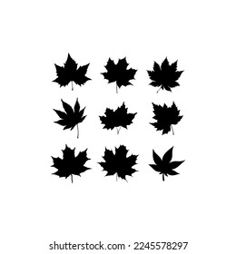 maple leaf autumn illustration set icon design