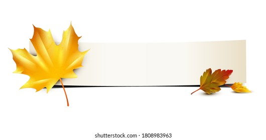 Ahornblatt und Herbstblätter mit weißem Banner aus Biegungspapier 