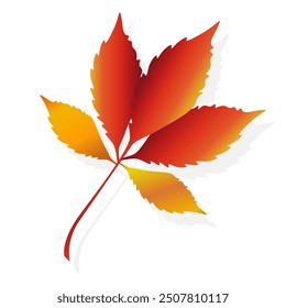 Maple leaf. Autumn leaves. Vector illustration