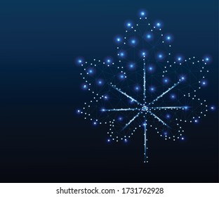 Maple leaf, autumn symbol, isolated. Polygonal low poly design. Wireframe polygon concept. Abstract vector illustration with polygon, line, connecting dots.