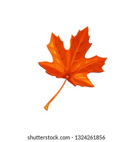 Maple leaf, autumn symbol. Vector illustration.