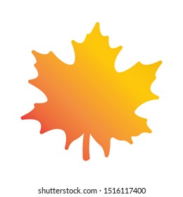 maple leaf autumn vector design