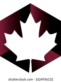 Maple Leaf, a Autumn vector illustration.